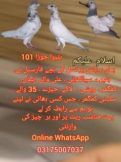 har chz ki warante