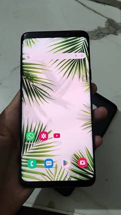 S9 plus PTA approved