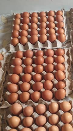 Production on 90%