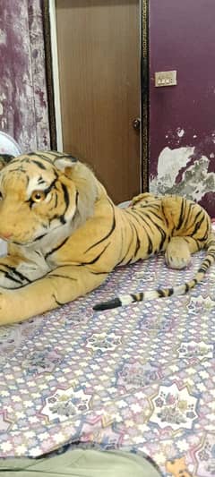 animals all available cars ship and smal toys