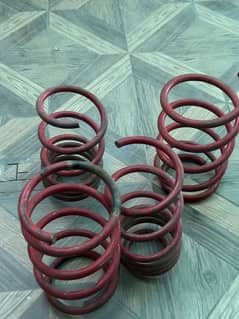 Reborn/Rebirth Lowering spring