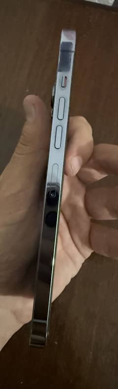 iPhone 13 Pro Max  JV