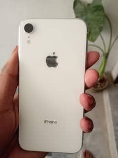 iphone XR water pack jv