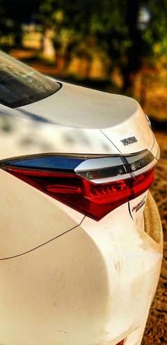 Driver ke Zaroorat hy? License LTV hu.