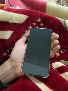 I phone 12 pro golden color health 80 water pack 128 jb jv set