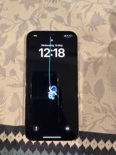 iphone 12 pro max pta