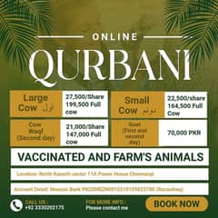 Qurbani