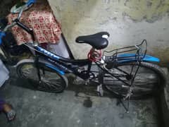 speed  bicycles