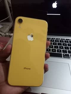 iphone xr non pta 64GB