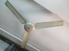 2 Fan For Sale at very reasonable price