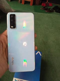vivo