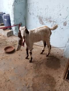 location Kemari Karachi