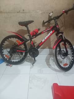 Streethawk