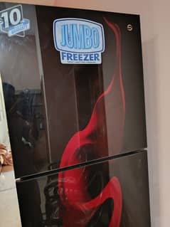 PEL Jumbo sized Glass Doors