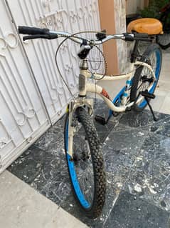 Capecod Cycle | Original Heavy duty
