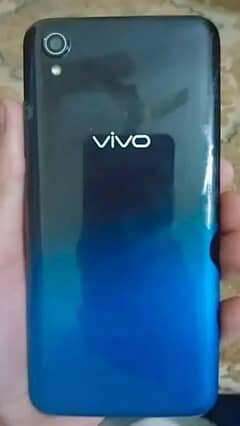 vivo