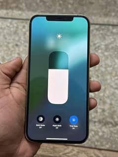 Iphone 12 pro max golden