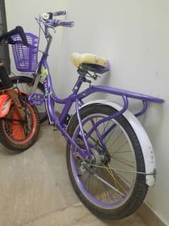purple girl cycle