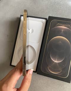 iPhone 12 Pro Max PTA Approved