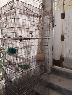 4 Portion Cage for Birds & Hens for Sale