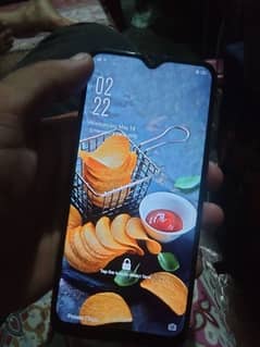 vivo