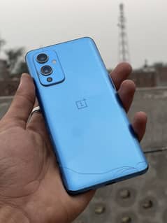 One plus 9 12/256