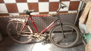 Phoenix cycle