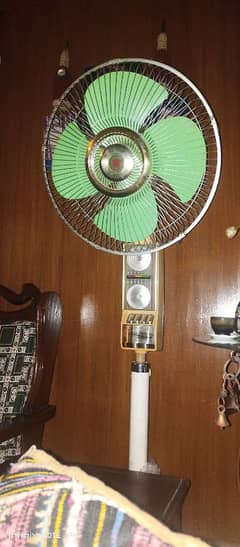 national Japan Fan