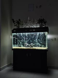 Aquarium