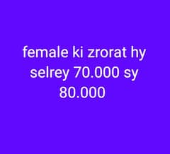 female ki zrorat hy selrey 70.000 sy 80.000
