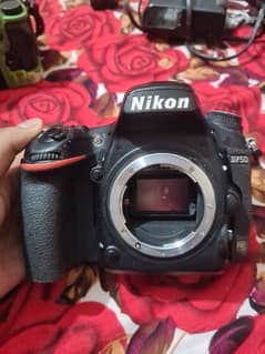 Nikon d750  with 24/120f/4L  Tamron 70.200 For Sale