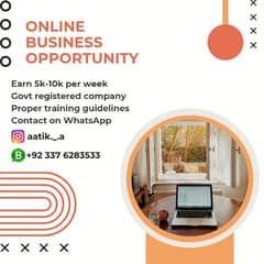 Online Business Opportunity