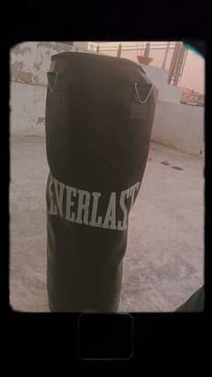 punching bag