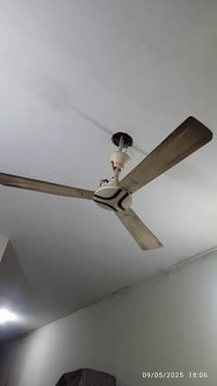 AC DC Fan 56"