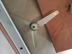 Ceiling Fan