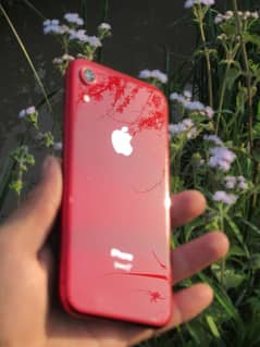 iPhone XR exchange possible