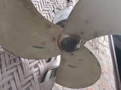 cieling fan
