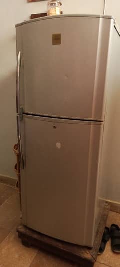 Tushiba fridge