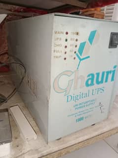 UPS 1000w
