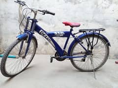 Deluxe Bicycle