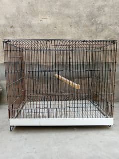 0327-0277654/cage/parrot/love bird/cocktail/hen/albino/pastel/pinjra/