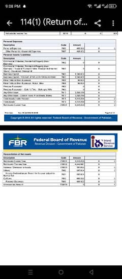 Professional Tax Filing Services