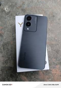 vivo