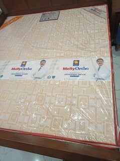 master molty foam matters ortho