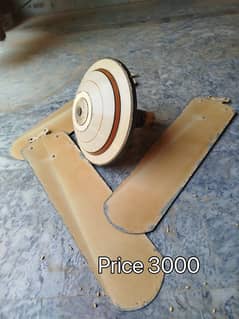 ceiling and Pedistal Fan