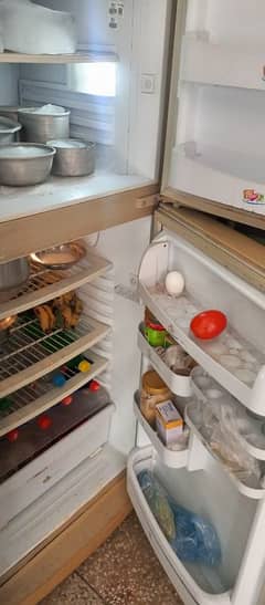 Medium size fridge