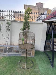 New Best Quality Golden Round hanging Cage with stand