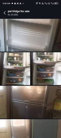 pel fridge
