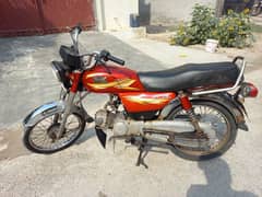Road Prince 70 Golden