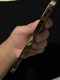 12 Pro Max 256 Gb